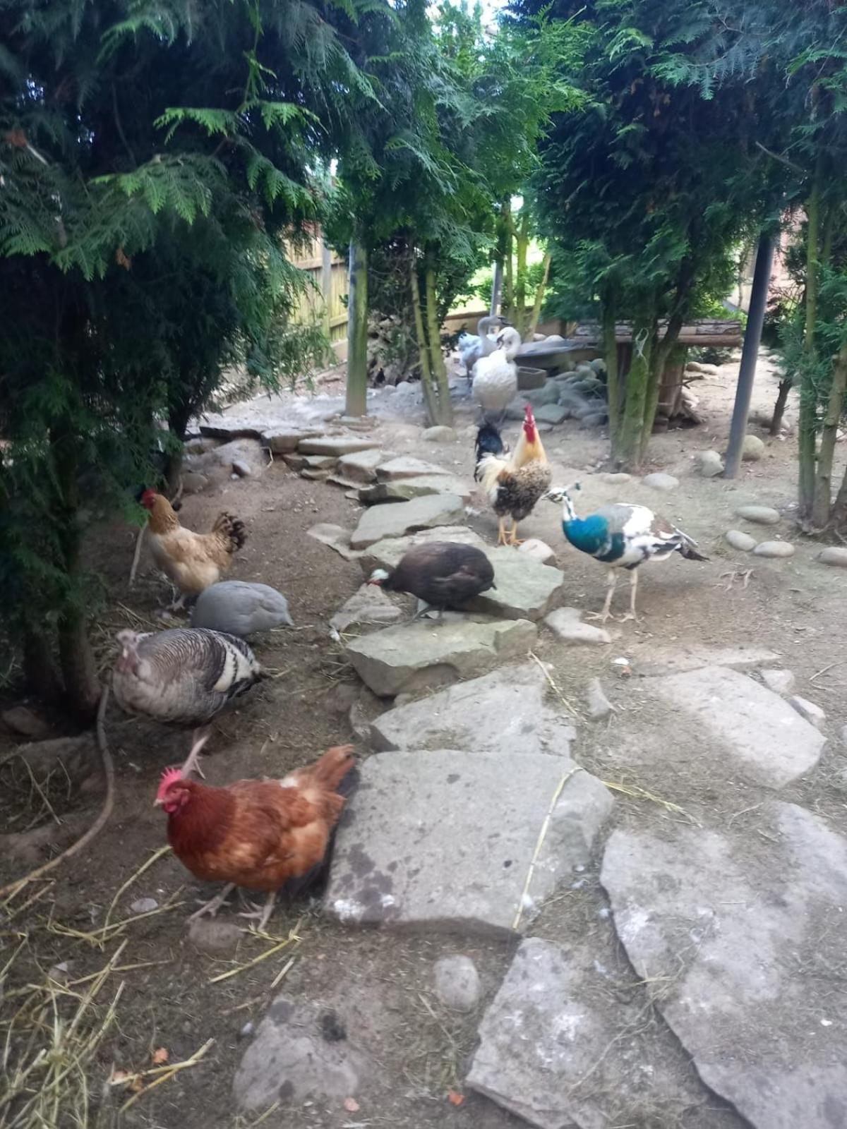 Koperkowe Rancho Beskid Wyspowy Domek Malopolskie Kamionna Kamionna  Zewnętrze zdjęcie