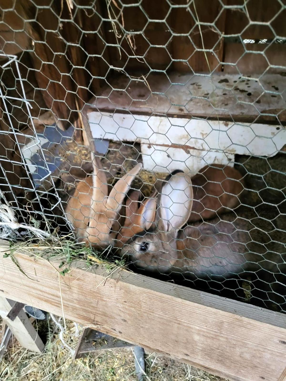 Koperkowe Rancho Beskid Wyspowy Domek Malopolskie Kamionna Kamionna  Zewnętrze zdjęcie