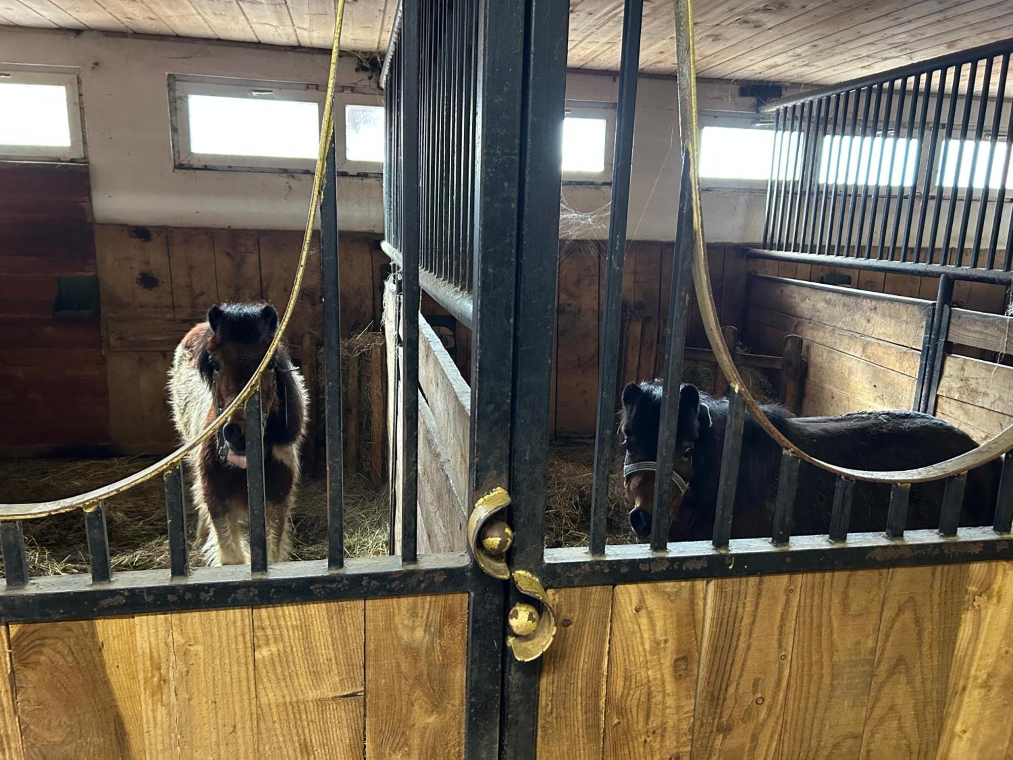 Koperkowe Rancho Beskid Wyspowy Domek Malopolskie Kamionna Kamionna  Zewnętrze zdjęcie